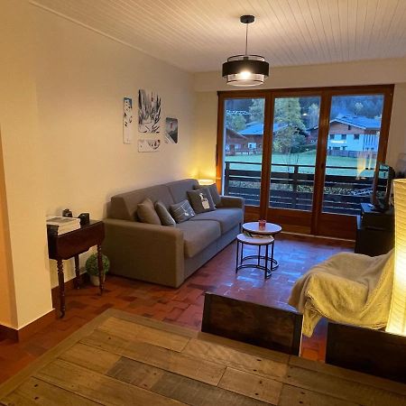 Residence Bois Du Bouchet, Appartement Vue Montagne, Calme, Parking Gratuit, Proche Centre Chamonix Exterior photo