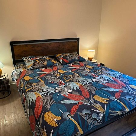 Residence Bois Du Bouchet, Appartement Vue Montagne, Calme, Parking Gratuit, Proche Centre Chamonix Exterior photo