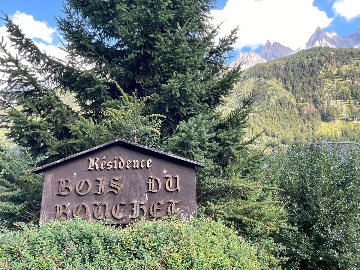 Residence Bois Du Bouchet, Appartement Vue Montagne, Calme, Parking Gratuit, Proche Centre Chamonix Exterior photo