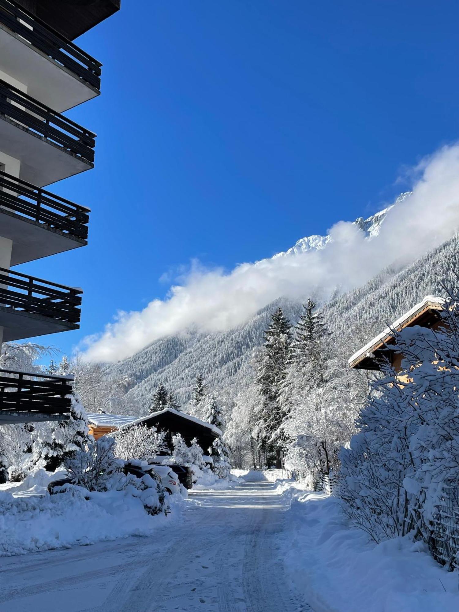 Residence Bois Du Bouchet, Appartement Vue Montagne, Calme, Parking Gratuit, Proche Centre Chamonix Exterior photo