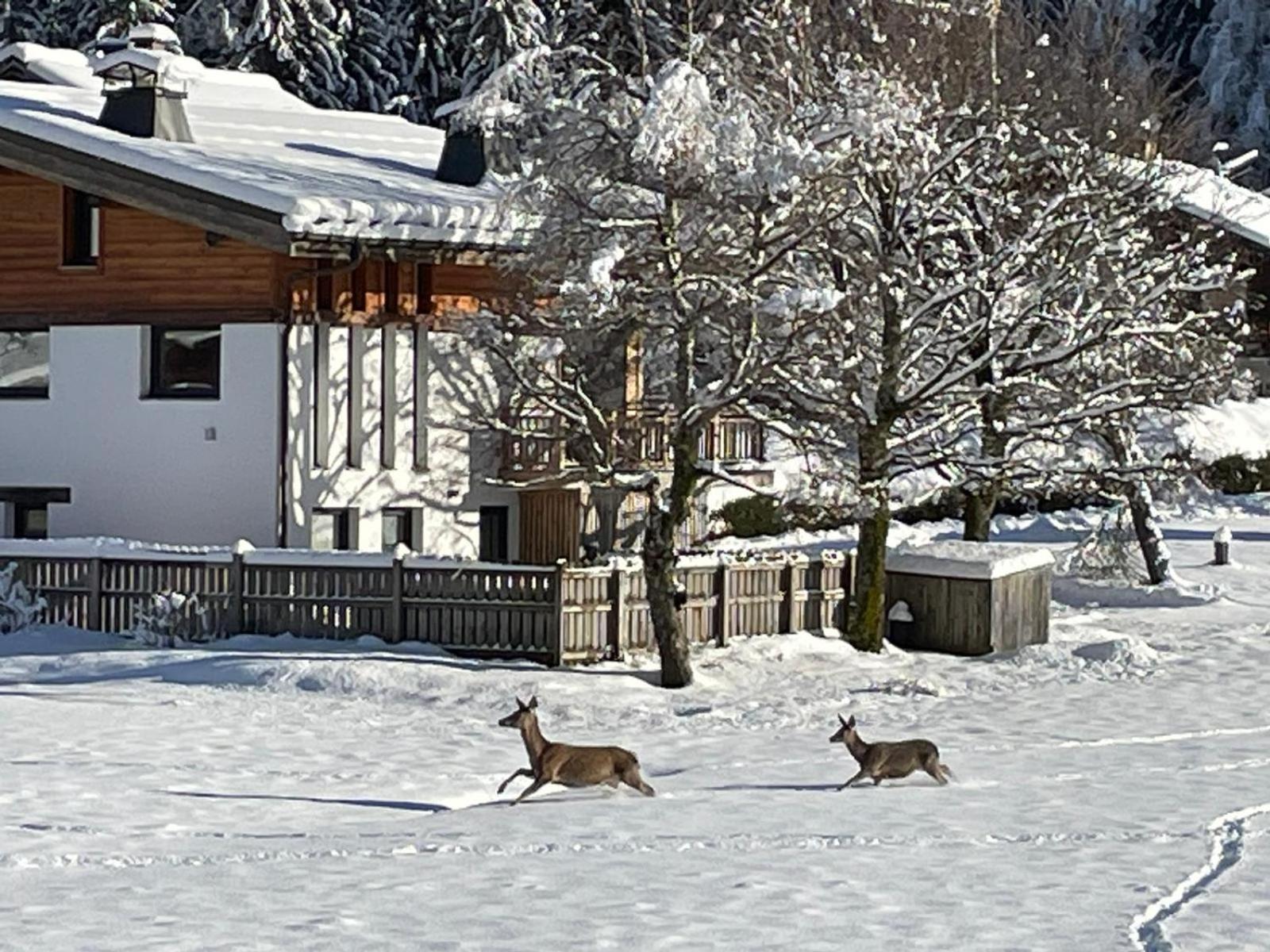Residence Bois Du Bouchet, Appartement Vue Montagne, Calme, Parking Gratuit, Proche Centre Chamonix Exterior photo