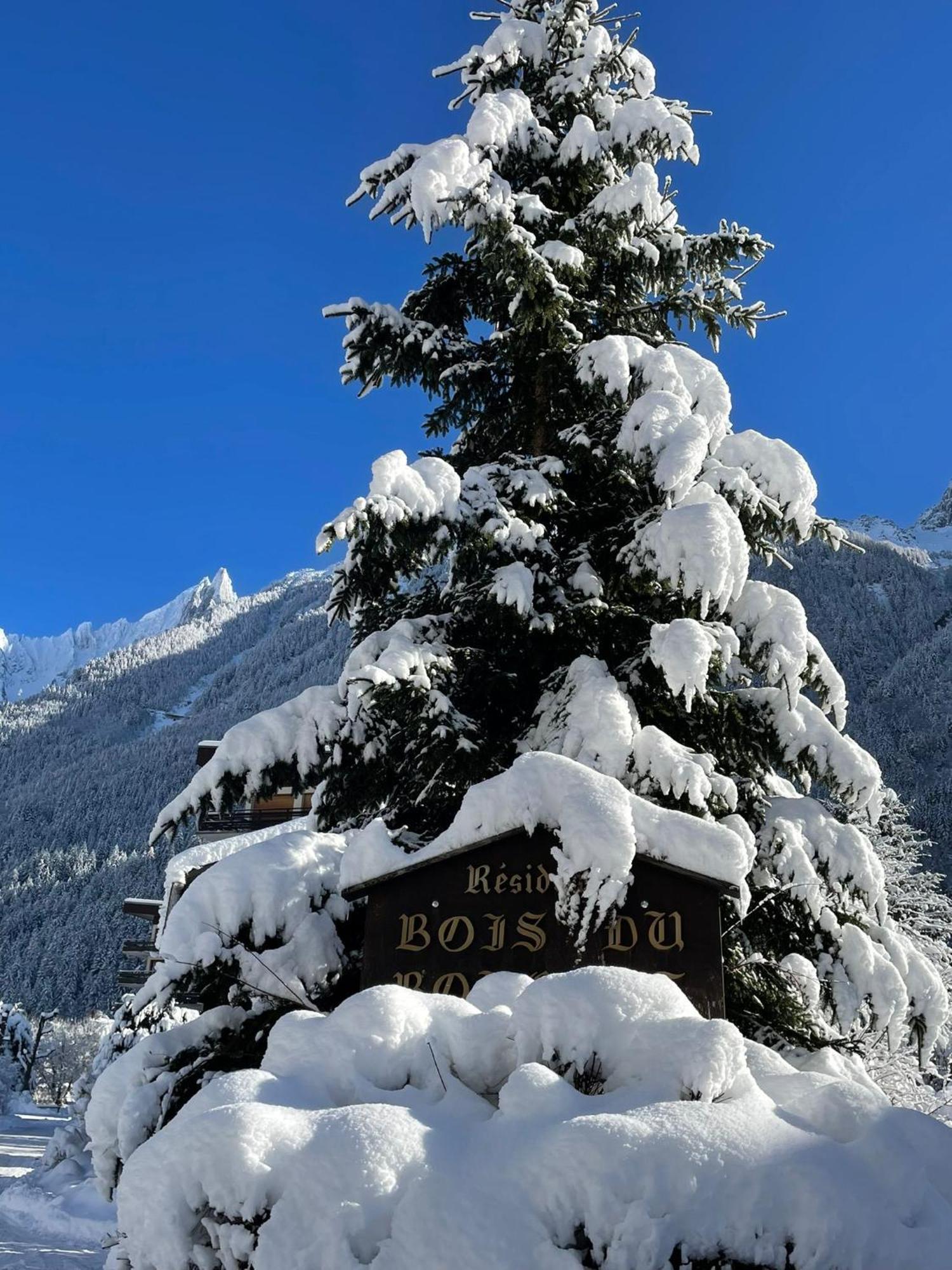 Residence Bois Du Bouchet, Appartement Vue Montagne, Calme, Parking Gratuit, Proche Centre Chamonix Exterior photo